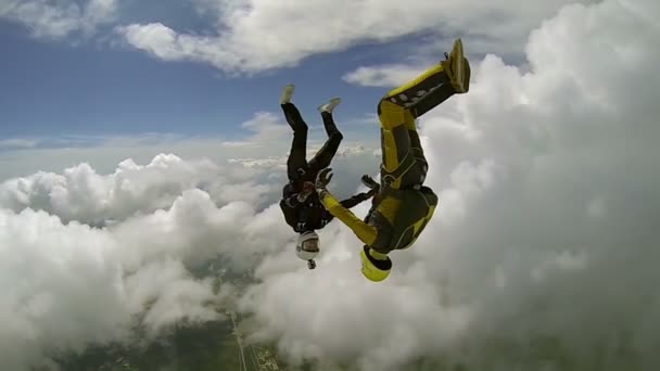 Skydivers batmak üzere — Stok video