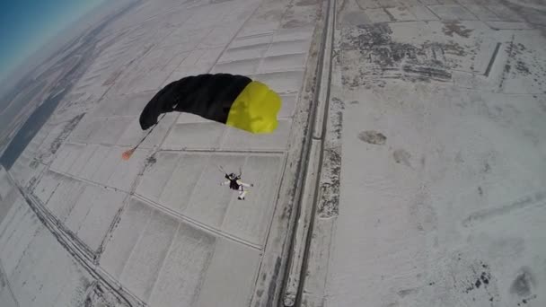 Skydivers in canopy formation — Stock Video