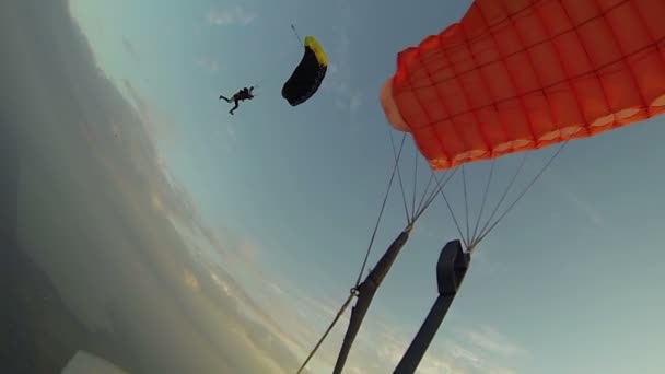 Paracaidista en el cielo sobre la ciudad — Vídeo de stock