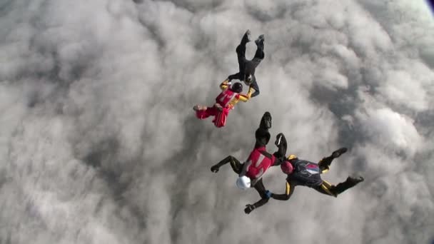 Skydivers recueille figure en chute libre 