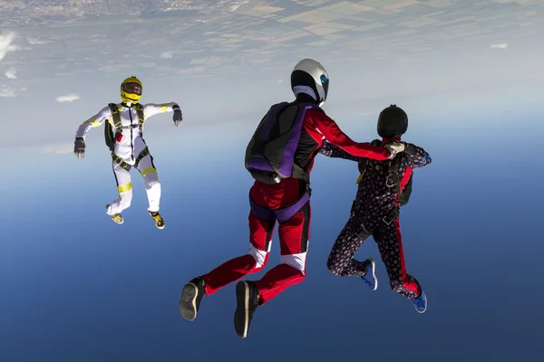 Group collects figure skydivers — Stock Photo, Image