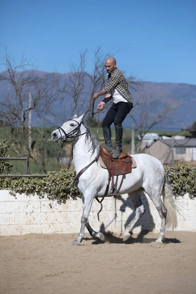 Young stunt man in casual outfit riding white horse on sandy ground
