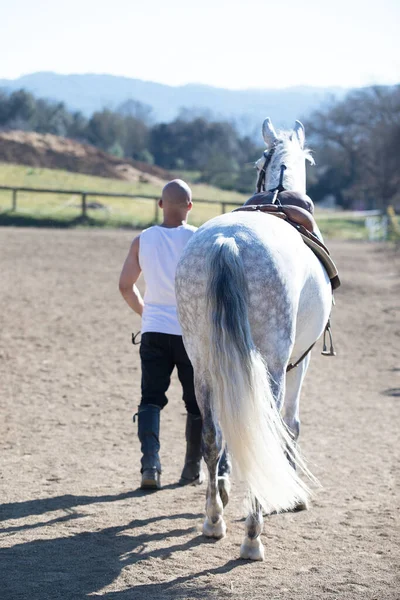 Back View Bald Cowboy Man Walking His White Horse — Stock Photo, Image