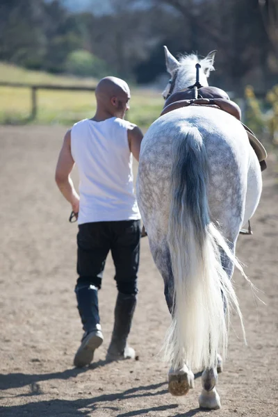 Rückansicht Eines Glatzköpfigen Cowboymannes Der Mit Seinem Weißen Pferd Geht — Stockfoto