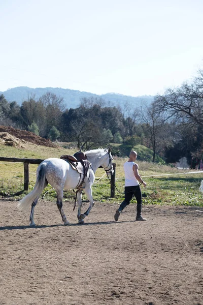 Rückansicht Eines Glatzköpfigen Cowboymannes Der Mit Seinem Weißen Pferd Geht — Stockfoto