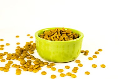 Köpek kedisi beyaz arka planda yeşil kasede kuru yiyecek. Kapatın. Seçici yumuşak odaklanma. Yüzeyin derinliği. Metin kopyalama alanı.