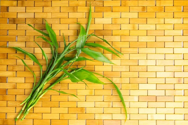 Genç yeşil bambu dalları ve ahşap halı arkaplan dokusunda yapraklar. Spa, refah, Zen konsepti Top view. Düz yatıyordu. Kapatın. Seçici yumuşak odaklanma. Yüzeyin derinliği. Metin kopyalama alanı.