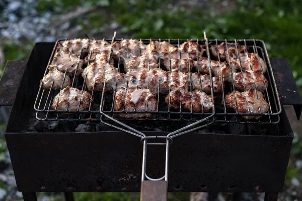 Grillen Von Schweinefleisch Dönerstücke Auf Offenem Metallgrill Auf Kohlen Auf — Stockfoto