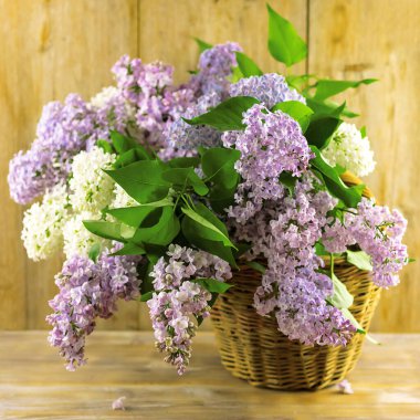 Hasır sepetin içindeki leylak çiçek dalları duvarın arkasındaki doğal ahşap masada.