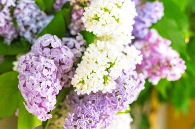 Leylak rengi çiçek dalları ahşap masa üzerinde yakın plan bulanık arka plan