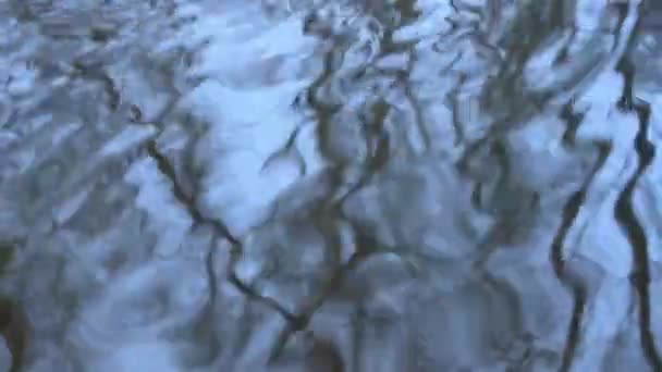 Kräuselndes blaues Flusswasser, schneller Fluss, natürliche Reflexion des Baumes im Hintergrund. Nahsicht. — Stockvideo