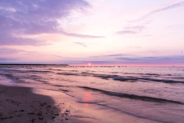 Dalgakıran, Baltık Denizi oturan kuşlar