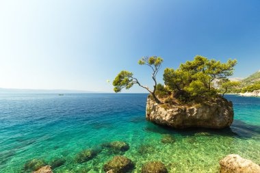 Stunning summer landscape with famous rocky island, Brela, Croatia clipart