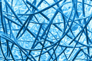 soyut tıbbi geçmiş