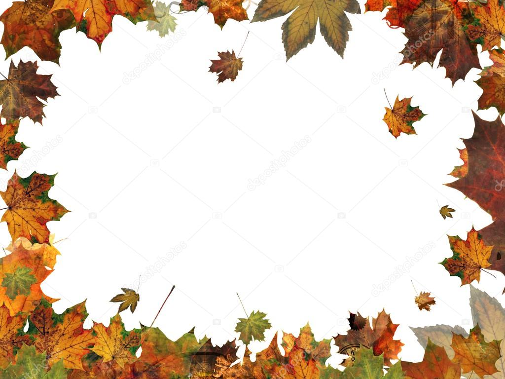 autumn leaves frame border illustration isolated