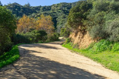 Griffith Parkı 'nın tepesine kadar uzanan, kenarlarında yemyeşil bitki örtüsü olan tozlu bir yürüyüş yolu..