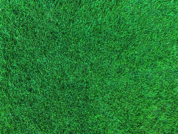 Yeşil Çimen Futbol Sahası Arka Planı Spor Yaz Arkaplanı — Stok fotoğraf