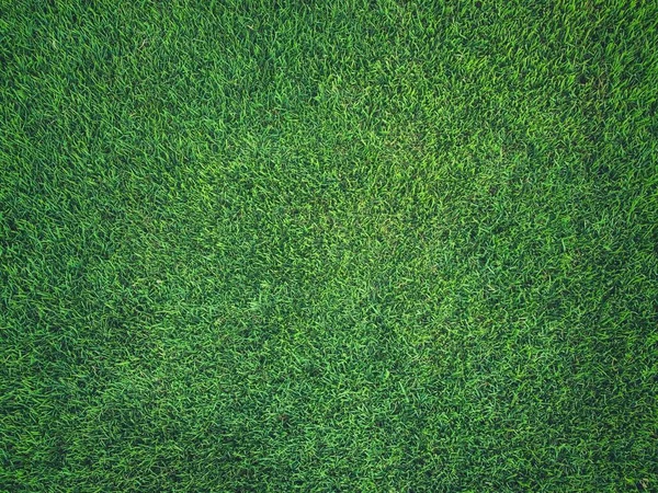 緑の芝生サッカー場の背景 スポーツ夏の背景 — ストック写真