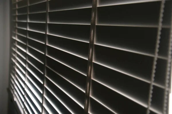 Closeup white color wooden blinds . Sunlight through the windows in the city with garden.Selective focus and light image backdrop.