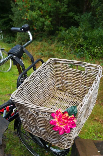 Fahrradkorb aus Schilf — Stockfoto