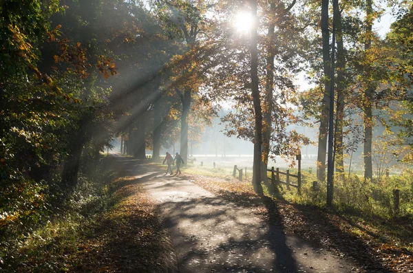 Wandelaars in de herfst bos — Stockfoto