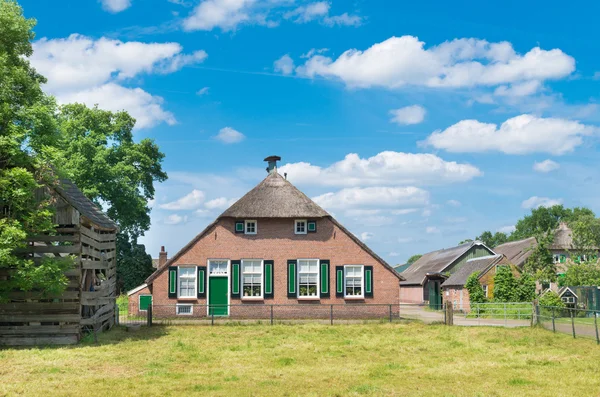 Nederlandse boerderij — Stockfoto