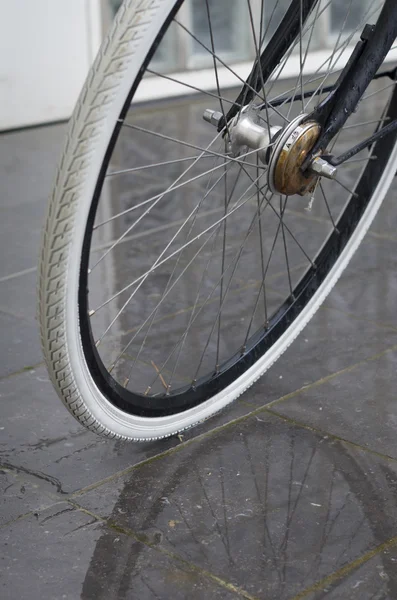 Roda de bicicleta — Fotografia de Stock