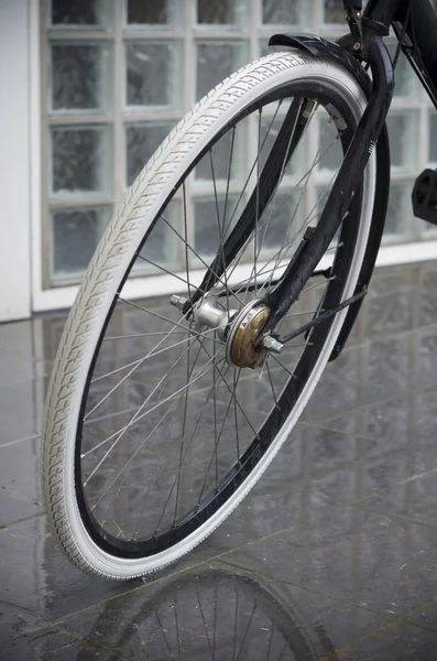 Bicycle wheel — Stock Photo, Image