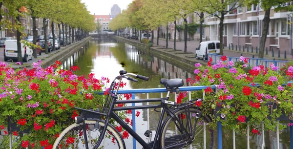 Fiets op een brug — Stockfoto