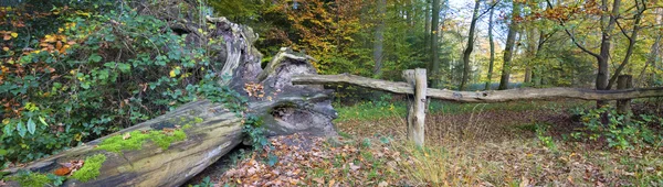 Altes Holztor — Stockfoto