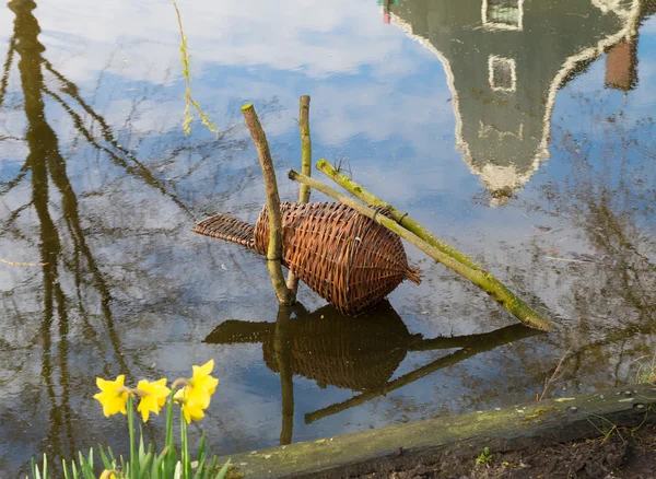 Brood hive — Stock Photo, Image