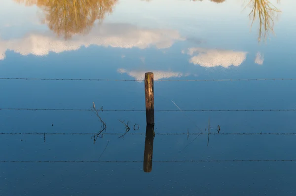 Flooded land — Stock Photo, Image