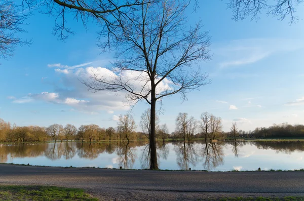 Oversvømmet land - Stock-foto