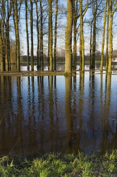 Terras inundadas — Fotografia de Stock