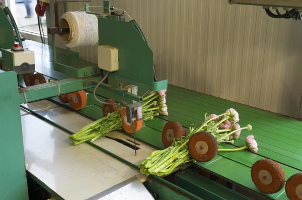 Flower bundling machine — Stock Photo, Image