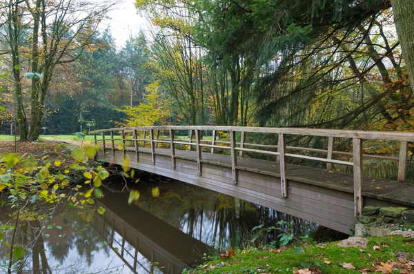 Wooden footbridge — Stock Photo, Image