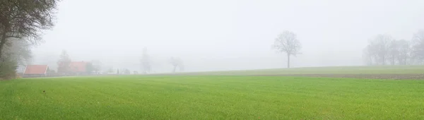 Campo nebbioso — Foto Stock