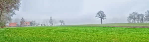 Mistige veld — Stockfoto