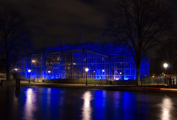 Light festival in amsterdam — Stock Photo, Image