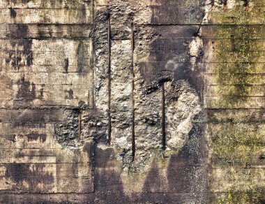 Peyzaj Park Duisburg