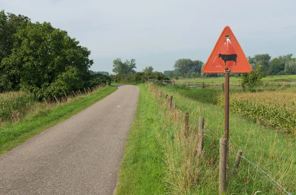 Vee overschrijding van teken — Stockfoto