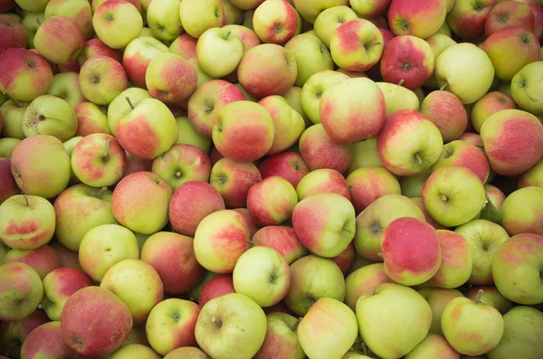 Ripe apples — Stock Photo, Image