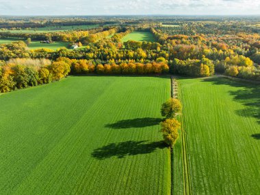 Sonbahar renklerinde güzel bir Hollanda manzarasının havadan görünüşü