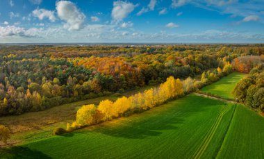 Sonbahar renklerinde güzel bir Hollanda manzarasının havadan görünüşü