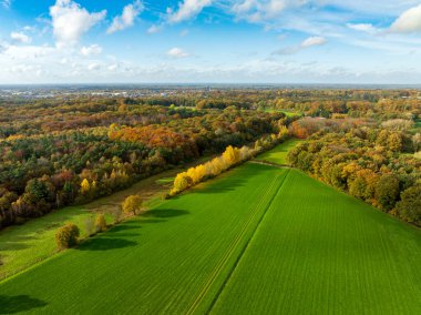 Sonbahar renklerinde güzel bir Hollanda manzarasının havadan görünüşü