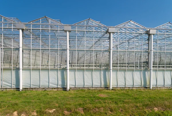 Greenhouse exterior — Stock Photo, Image