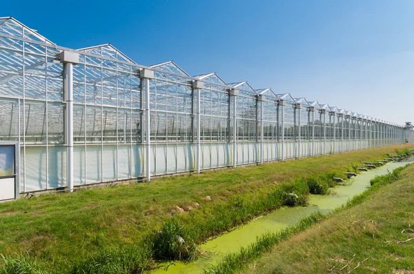 Gewächshaus außen — Stockfoto