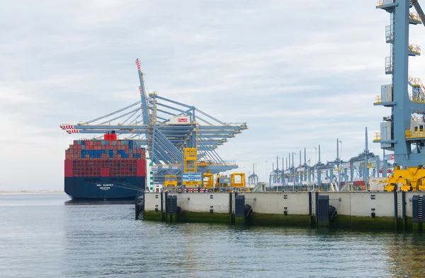 Gruas portuárias de rotterdam — Fotografia de Stock