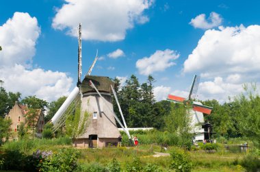 Hollandalı bir parkta geleneksel yel değirmenleri