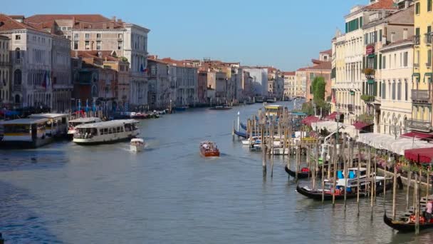 Gondoliers in the Grand Canal, Venice, Italy. Ancient city of venice — Stock Video
